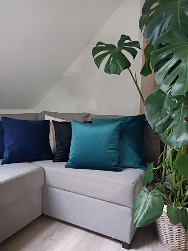 Zaklad krawiecki Rychel Monika